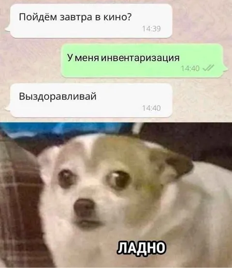 Инвентаризация вместо кино