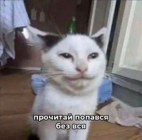 Кот поймал на слове