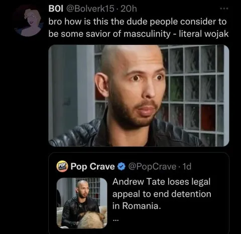 Andrew Tate Literal Wojak Reaction