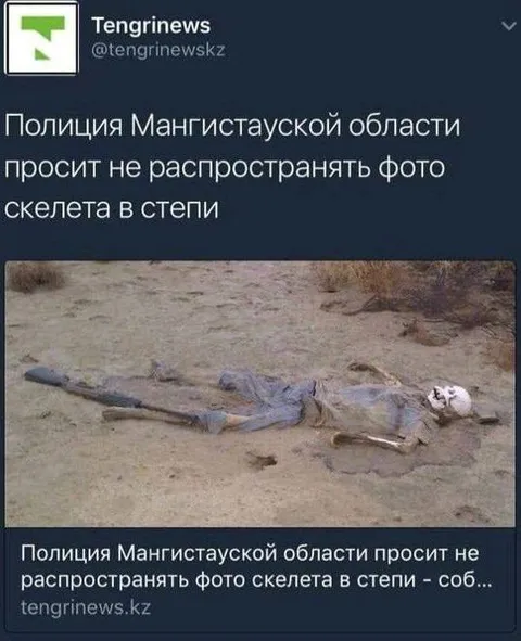Скелет в степи