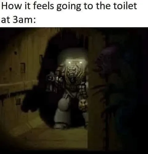 Going to the Toilet at 3AM