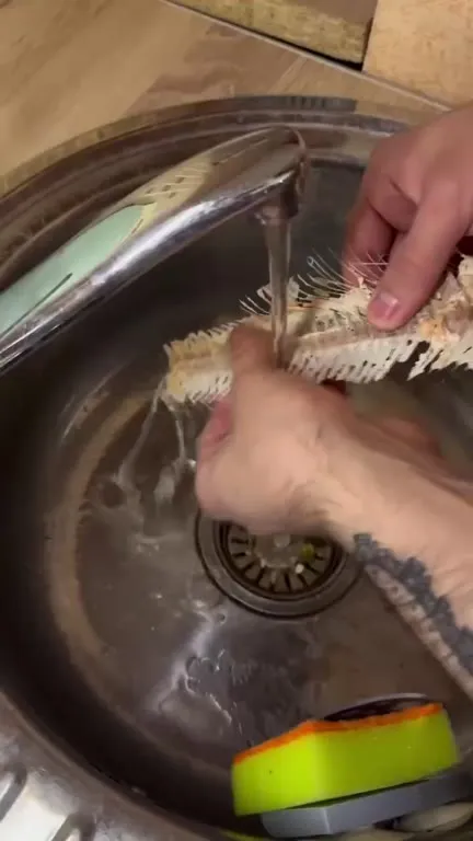 Fish Skeleton Fresh Start