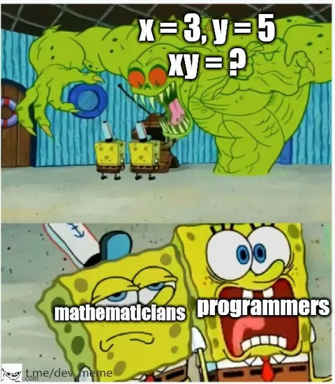 Mathematicians vs Programmers