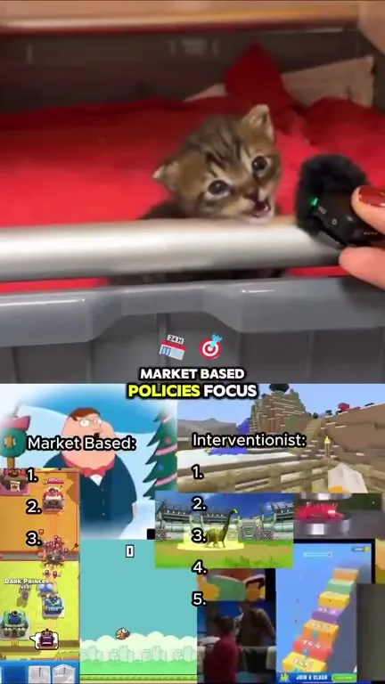 Kitten Explains Economic Policies