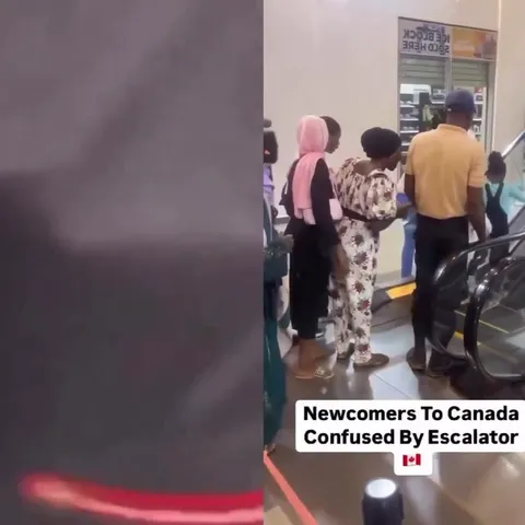 Newcomers Confused by Escalator
