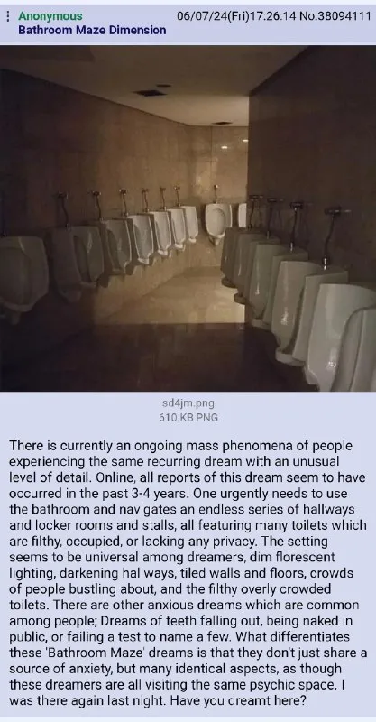 Bathroom Maze Dimension Dream