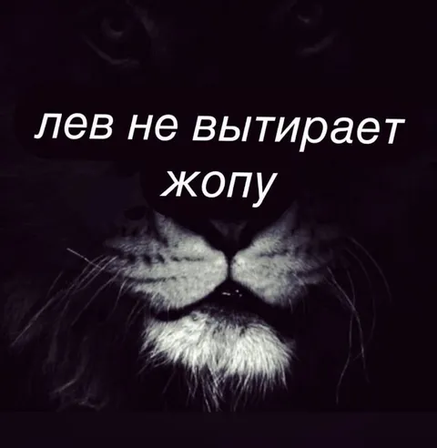 Лев не вытирает жопу