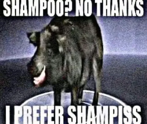Shampoo No Thanks Bear