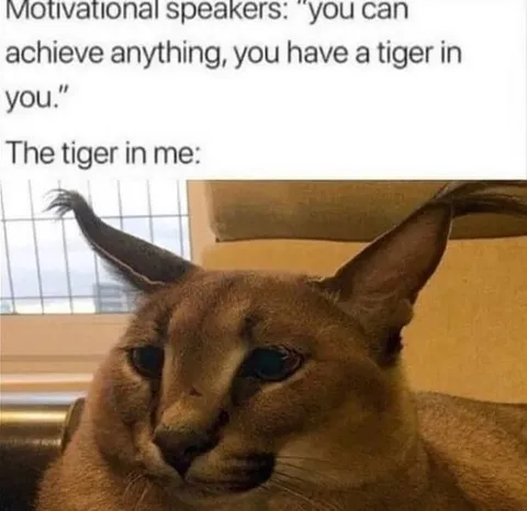 The Tiger Inside Me