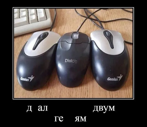 Дал двум геям