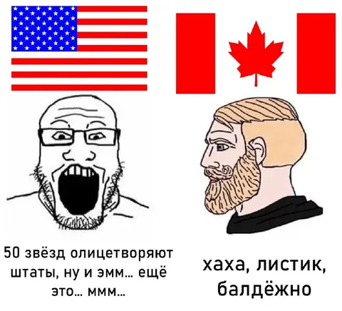 Пятьдесят звёзд и листик