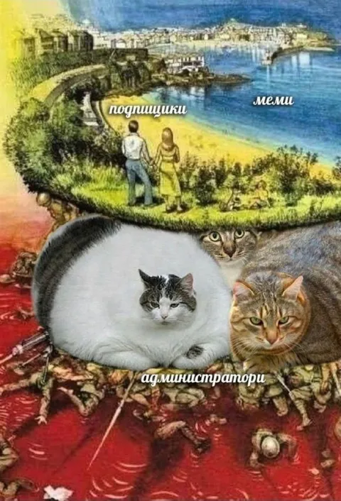 Подписчики, мемы и администраторы