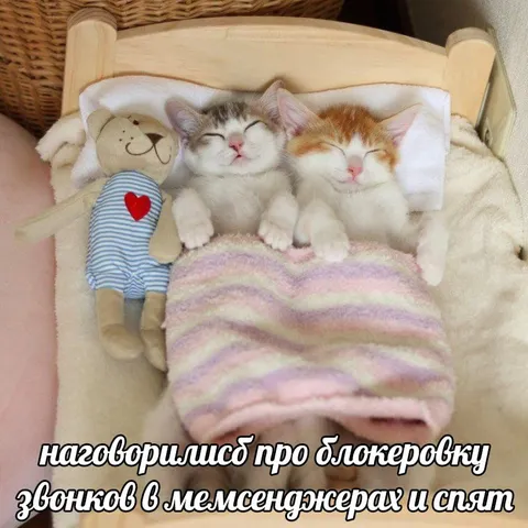 Наговорились и уснули