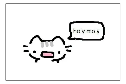 Holy Moly Cat Reaction