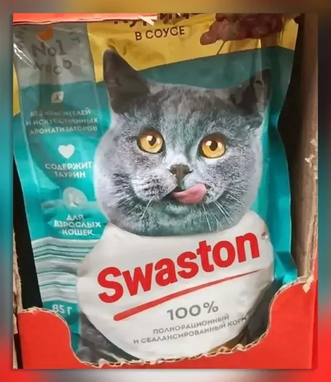Кот на корме Swaston