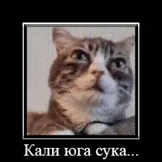 Кали юга, сука