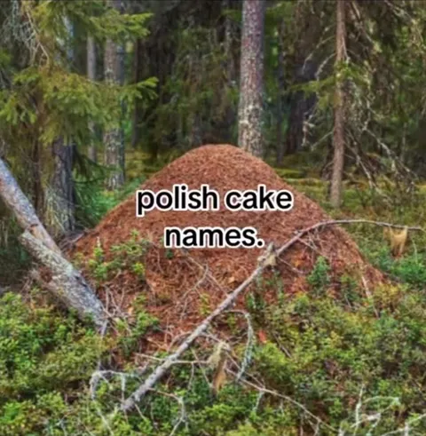 Polish Cake Names Reaction