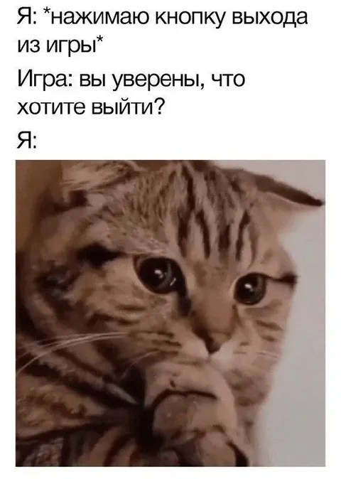 Кот перед выходом из игры