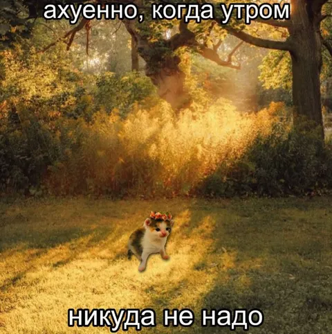 Ахуенно, когда утром никуда не надо