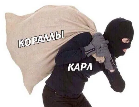 Грабитель несёт кораллы