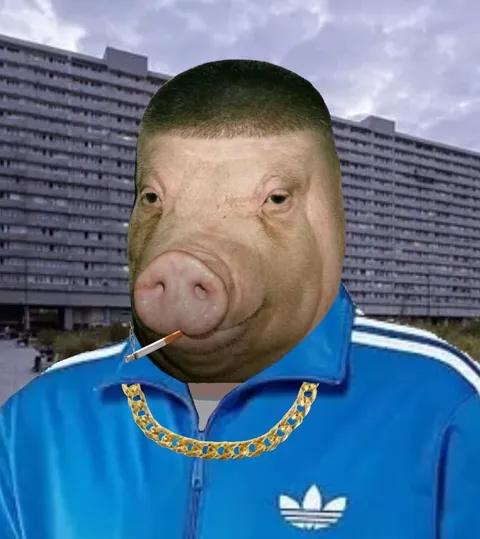 Свинья в спортивном костюме