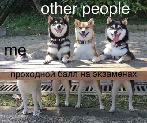 Проходной балл на экзаменах
