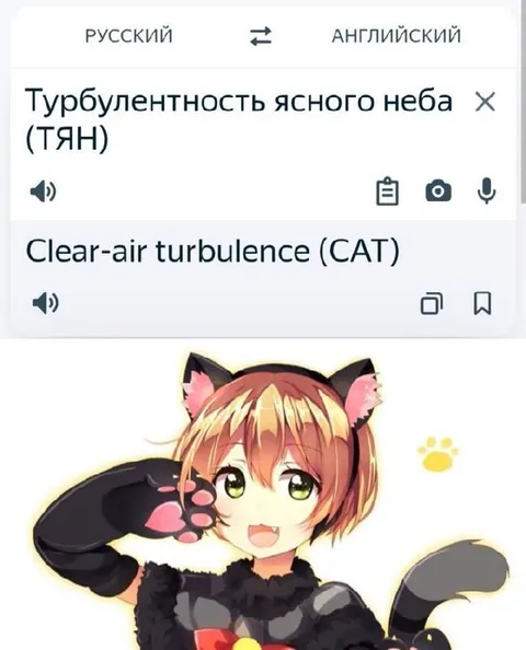 Турбулентность ясного неба по-кошачьи