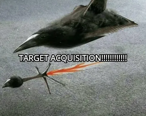 Target Acquisition Bird