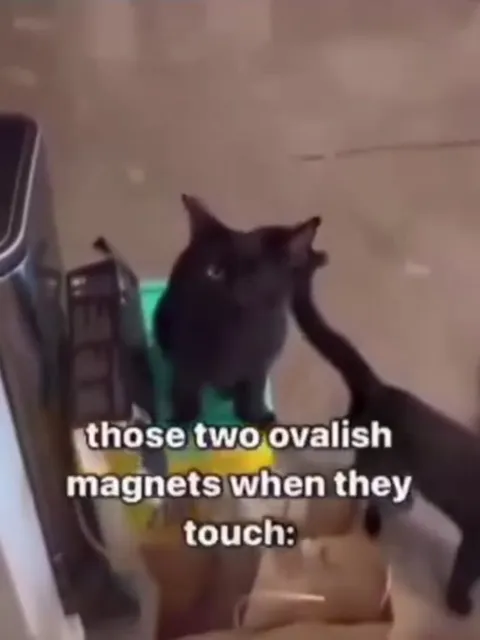 Two Oval Magnets Touch