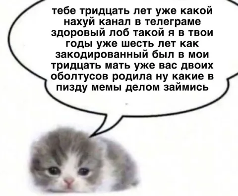 Мать ругает взрослого мемщика