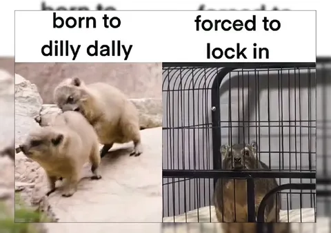 Born to Dilly Dally