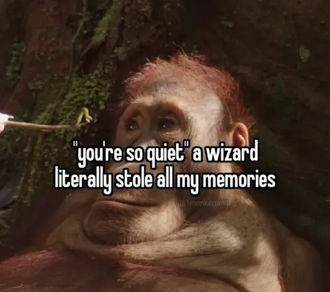Wizard Stole My Memories