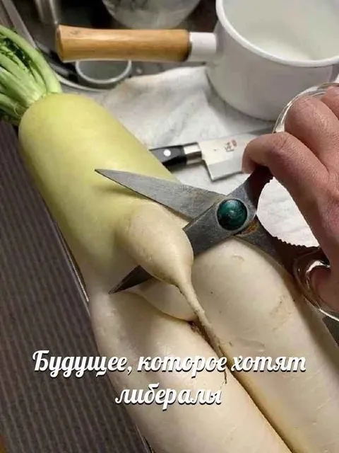 Будущее, которое хотят либералы