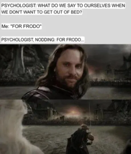 For Frodo Bed Motivation