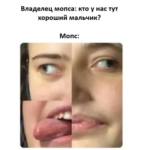 Хозяин спрашивает про хорошего мальчика