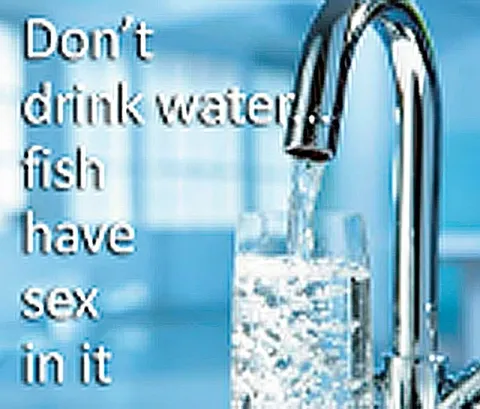 Don't Drink Water Fish Have Sex