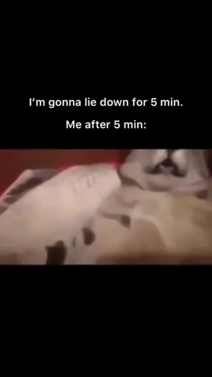 Five Minute Nap Turns Into Hibernation