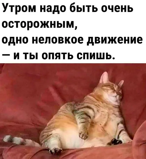 Одно неловкое движение утром