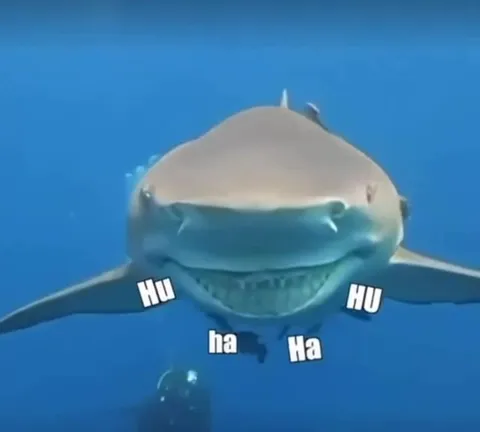 Shark Just Kidding Man