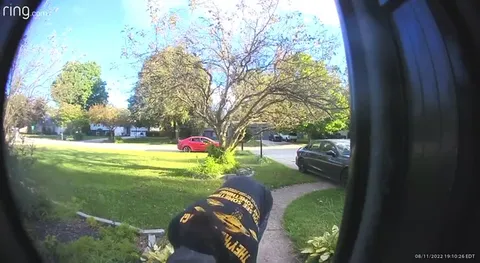 Dancing at the Doorbell