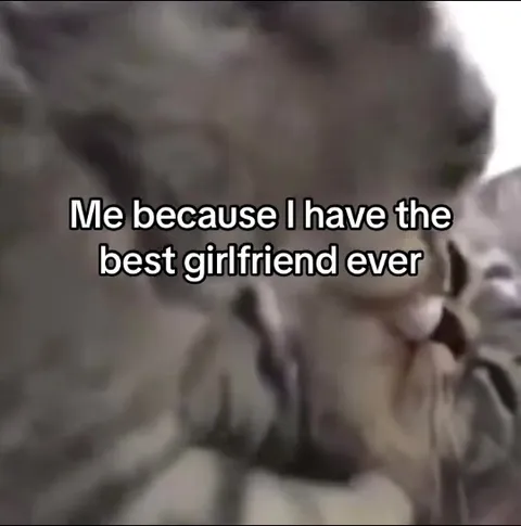 Best Girlfriend Ever Cat Kiss