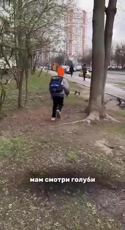 Мам, смотри, голуби