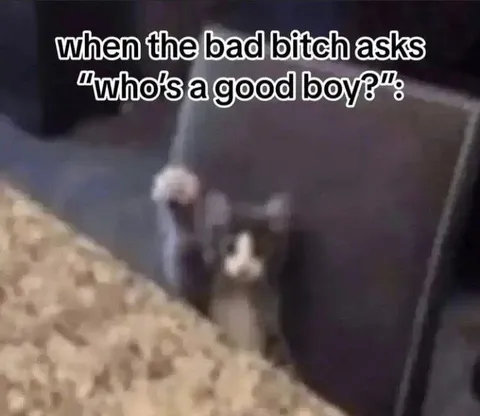 When the Bad Bitch Asks Who's a Good Boy