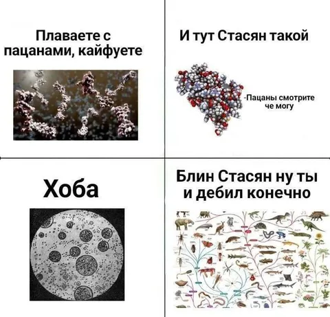 Стасан превращается в эволюцию