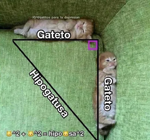 Teorema de Pitágoras gatuno