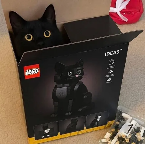 Black Cat in LEGO Box