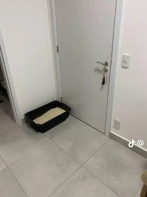 Лоток вместо дверного коврика