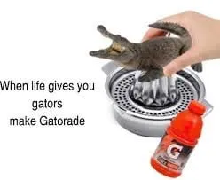 When Life Gives You Gators