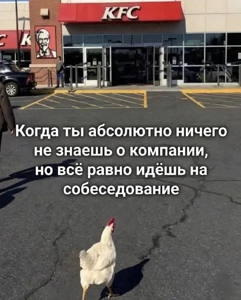 Курица идёт на собеседование