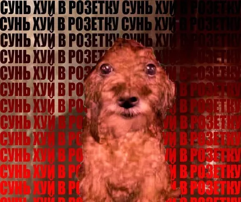 Сунь хуй в розетку